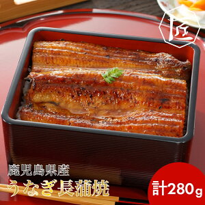 yz Y Y Ȃ V EiM   ypN̓ N̓ YȂ mTAKUMÏin