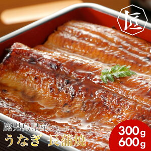 yyVX[p[SALEzyz Y Ȃ yp N̓ ƒp A EiM Ђ܂Ԃ Ș ȏd  I Y Ȃ  300g 2`6 mTAKUMÏin