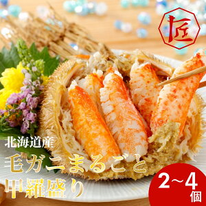 yyVX[p[SALEzyz kCY уKj  ܂邲 b 2~4 mTAKUMÏin