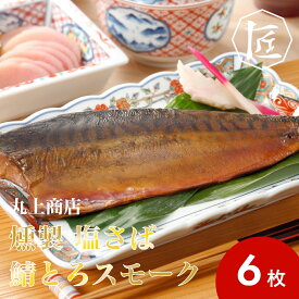 【送料無料】 丸上商店 燻製 塩さば 鯖とろスモーク ［TAKUMIの逸品］