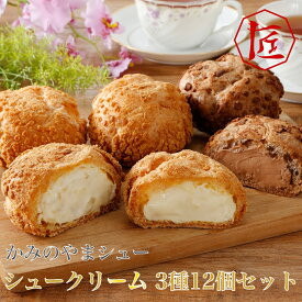 【送料無料】 米粉 シュークリーム 12個 3種 冷凍 スイーツ 個包装 クリーム ギフト 山形 つや姫 和菓子 職人 生クリーム 「かみのやまシュー」シュークリーム 3種12個セット ［TAKUMIの逸品］
