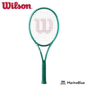 �yWilson�i�E�C���\���j�zBLADE 100 V10 �u���[�h�@�e�j�X���P�b�g�@�t���[���̂݁@�O���b�v2�@WR208211