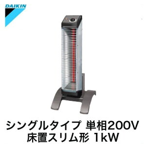 ERK10NV_CL ԊOg[@ Zq[gHEƏp uX`VO^Cv 1kW P200V