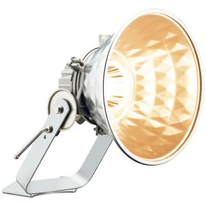 E30421M/LSAN8LED投光器 レディオック フラッド スポラート 65Wタイプ(水銀ランプ250W相当)中角タイプ 屋外・屋内用 電源ユニット別置 電球色タイプ岩崎電気 施設照明 エリア照明 サイン照明