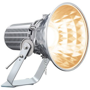E30424W/LSAN8LED投光器 レディオック フラッド スポラート 210Wタイプ(水銀ランプ1000W相当)広角タイプ 屋外・屋内用 電源ユニット別置 電球色タイプ岩崎電気 施設照明 エリア照明 サイン照明