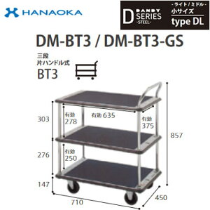 DM-BT3-DX@lp lzs ԉq  DANDY _fB DV[Y -Cg/~h- TCY Type DL OiЃnhBT3 W