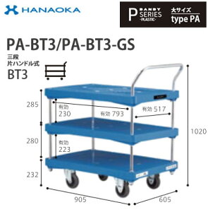 PA-BT3@lp lzs ԉq  DANDY _fB PV[Y -PLASTIC- TCY Type PA OiЃnhBT3 W