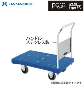 PA-SLSC@lp lzs ԉq  DANDY _fB PV[Y -PLASTIC- XeXnhdl TCY Type PA G[X ŒБ