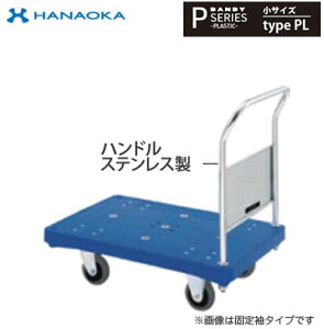 PL-SLSC@lp lzs ԉq  DANDY _fB PV[Y -PLASTIC- XeXnhdl TCY Type PL Cg ܏Б