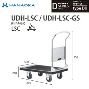 UDH-LSC@lp lzs ԉq  DANDY _fB DV[Y -z[v- TCY Type DH ܂肽ݎLSC W