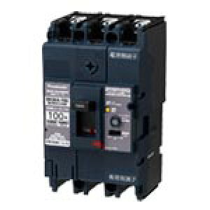 BKWA34092Panasonic dݎ Rdu[JBKWA^ ՗pt[F100AF ^FBKWA-100 ɐfq3P3E id40A xd100/200/500mAؑ