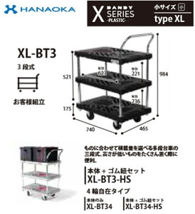 XL-BT3���@�l��p �l��z���s�� �ԉ����q ��� DANDY �_���f�B X�V���|�Y -PLASTIC- ���^�T�C�Y Type XL �O�i��