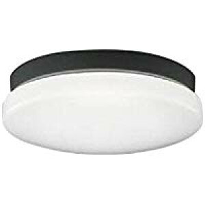 ★AU46980Lエクステリア LED一体型 軒下用シーリングライト要電気工事 非調光 昼白色 防雨 防湿型 FCL20W相当コイズミ照明 照明器具 洗面所 廊下 玄関 屋外用照明