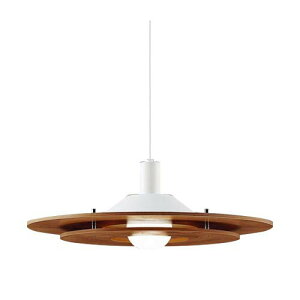 LSEB3113Z_CjOpLEDy_gCg dF 񒲌|V[O Md100`1Panasonic Ɩ VƖ ݉