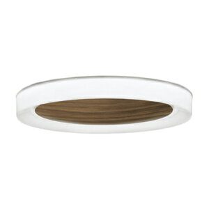 OL291667BRLED�V�[�����O���C�g SOLID RING wood [�\���b�h�����O] 8���pR15�����F �N���X2 CONNECTED LIGHTING LC-FREE �����E���F Bluetooth�Ή� �d�C�H���s�v�I�[�f���b�N �Ɩ���� �V��Ɩ� �y�`8��z
