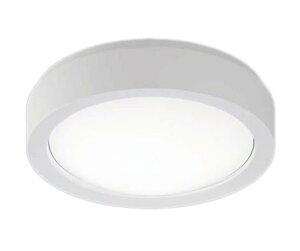 NWCF16125 LE1ʏƖ LEDV[OKi uPbgp FCL30` ^Cv ǁEV䒼t^ BasicF 񒲌 hJ^ ی`u30`1 񒲌 hJ^Panasonic {ݏƖ V
