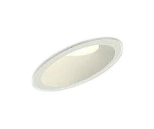DDL-CD025W�X�ΓV��pLED�_�E�����C�g���F���� �M�����s�v�^�C�v��������100 ���M��100W���� ���C��SB�`����d�@ �Ɩ����