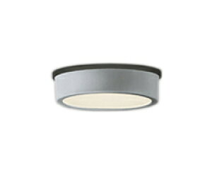 OG254532RGNXeA LEDV[OCg FLAT PLATE R15F NX2M60W 񒲌 dF 113°gUz vdCHI[fbN Ɩ Op p