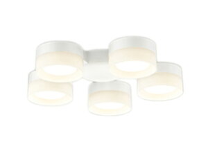 WF298LRV[Ot@p 6p R15F NX2Z[h^CvE5 dF 񒲌I[fbN Ɩ y`6z