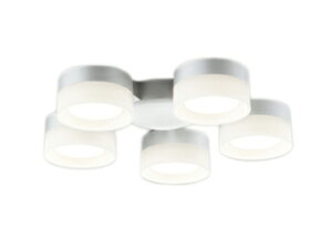 WF300WRV[Ot@p 6p R15F NX2Z[h^CvE5 F 񒲌I[fbN Ɩ y`6z