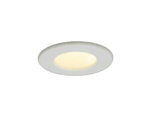 LEDD-00002N-LS1LED�_�E�����C�g ��铔(�X�|�b�g���^�C�v) ��������40�d���F �񒲌� �f�M�{�H�s���Ń��C�e�b�N �{�ݏƖ�