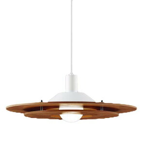 LGB15314K_CjOpLEDy_gCg dF 񒲌|V[O Md100`1Panasonic Ɩ VƖ ݉