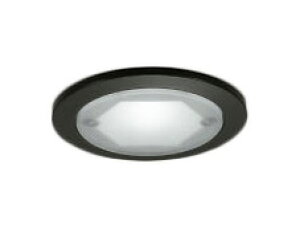 OD250053LEDRpNg_ECg M`(ʌ^) 5089°gUz 񒲌 FI[fbN Ɩ I RpNg ^