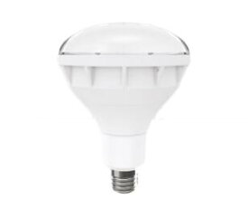 遠藤照明 ランプバラストレス水銀レフ形LEDランプ160W形 E26口金 昼白色 非調光RAD-588N