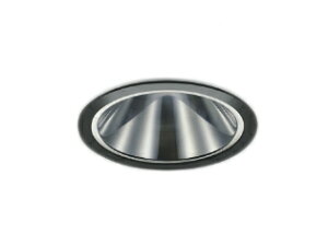 XD255553BXLEDx[X_ECg X-Pro F100 OAX ʃR[F 800/600lmNX JR12V50W Ɠxp55°RCY~Ɩ {ݏƖ