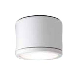 pi\jbN Panasonic {ݏƖpLEDV[OCg hJ^ plt^NNN53820WK