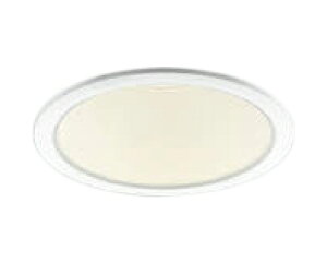 AD53000LED�_�E�����C�g M�^ �R���t�H�[�g �d���F FHT42W����������100 �x�[�X�^�C�v �U�� �񒲌��R�C�Y�~�Ɩ� �Ɩ���� �V��Ɩ�