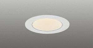 LEDD-05304WW-RD1LED���a�_�E�����C�g ��������50 ���F�[�` ���p �����F �������Ń��C�e�b�N �{�ݏƖ�