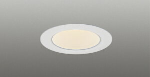 LEDD-05305W-RD1LED���a�_�E�����C�g ��������50 ���F�[�` ���p ���F �������Ń��C�e�b�N �{�ݏƖ�