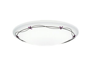 OL251451BRELED퓔tV[OCg 12p R15FCONNECTED LIGHTING LC-FREE EF BluetoothΉ dCHsvI[fbN Ɩ VƖ  rO   y`12z