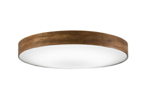 OL291355BRELED퓔tV[OCg 12p R15FCONNECTED LIGHTING LC-FREE EF BluetoothΉ dCHsvI[fbN Ɩ VƖ  rO   y`12z