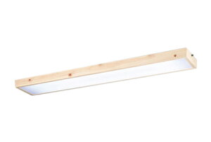 OL291871R2BLEDax[XCg R15F NX2 FLR40W×2V䒼t F 񒲌I[fbN Ɩ a VƖ