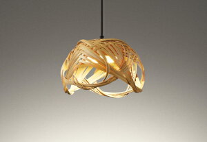 OP252907LRLEDay_gCg made in NIPPON ʕ{|׍H M60WtW^Cv R15F NX2 dF 񒲌 vdCHI[fbN Ɩ ݉ a