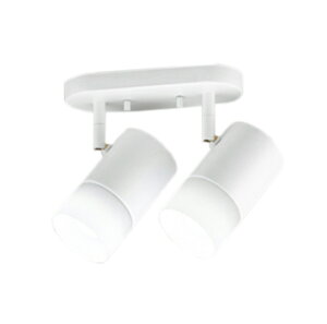 OS256673RGtJ[EF LEDX|bgCg M60W×2tW^Cv 2 CONNECTED LIGHTING LC-FREE RGB BluetoothΉ 137°gUzI[fbN Ɩ ǖʁEVʁEXΖʎt