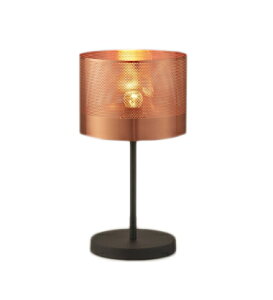 ERF2078DALEDfXNX^hCg{̂̂ vʔ(E17) ΉƖ {ݏƖ