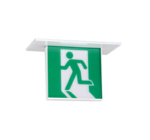 OR037534LEDU V䖄 C ʌ^I[fbN Ɩ X܁E{݌ pƖ