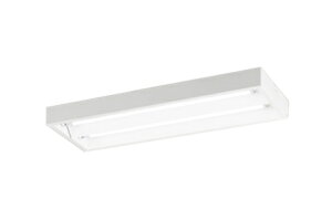 XL551651RAǌ`LEDvpx[XCg LED-TUBE R15F NX220` t^ ʊJ^ W250 2p FL20W×2БdEБz G13 񒲌 FI[fbN Ɩ X