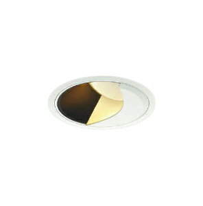 XD302521WLLED�E�H�[���E�H�b�V���[�_�E�����C�g X-Pro ������125HID70�`35W���� 2500/2000lm�N���X �d���F 45° �����Ή��R�C�Y�~�Ɩ� �{�ݏƖ� �V��Ɩ� �X�ܗp