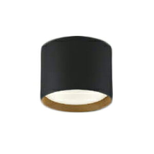 AH54219LEDフラットユニット対応 小型シーリングライト 直・壁取付 GX53口金白熱灯60W相当 温白色 非調光 要電気工事コイズミ照明 照明器具 天井照明 玄関や廊下などに