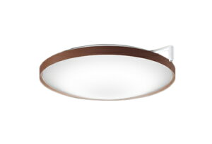 OL291561CRLEDT[JfBAV[OCg ƓxZT[t R15F NX2 8pCONNECTED LIGHTING LC-FREE CIRCADIAN EF BluetoothΉ dCHsvI[fbN Ɩ VƖ r