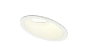 OD361251BRXΓVpLED_ECg 125 CSB`FHT24WNX gUz R15F NX2CONNECTED LIGHTING LC-FREE EF BluetoothΉI[fbN Ɩ VƖ