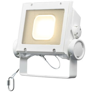 ECF4040SW/NHSAN8/WLED fBIbN tbh lI 40NX Lp^Cv igEFOEp djbg` ωdldC {ݏƖ