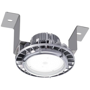 EHTS08025W/NSAN9LEDVpƖ fBIbN nCxC V[^ ϐUϏՌ` H{ݗp 80W^Cv ⃉v250WE300WNX1000 Lp^Cv FEp djbg`