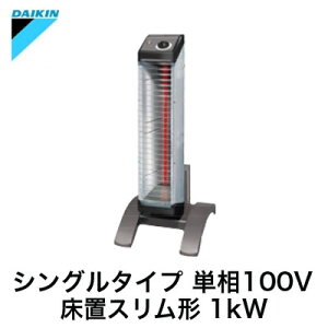 ERK10NS_CL ԊOg[@ Zq[gHEƏp uX`VO^Cv 1kW P100V