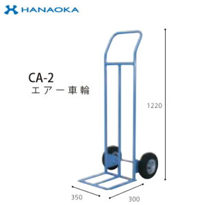CA-2@lp lzs ԉq ֑ LG[X GA[ԗ