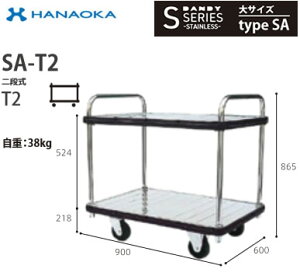 SA-T2@lp lzs ԉq  DANDY _fB SV[Y -STAINLESS- TCY Type SA iT2